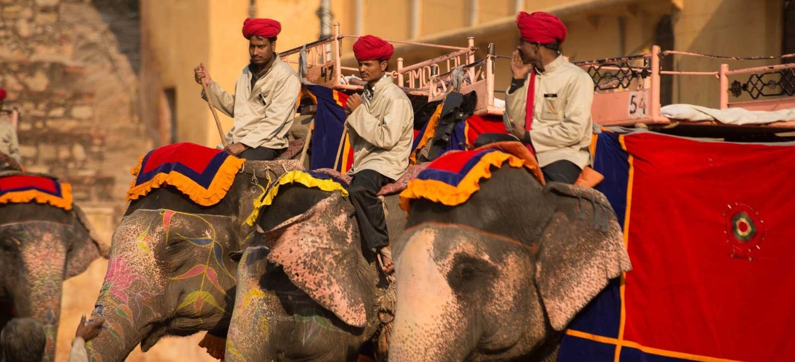 Golden Triangle Tours