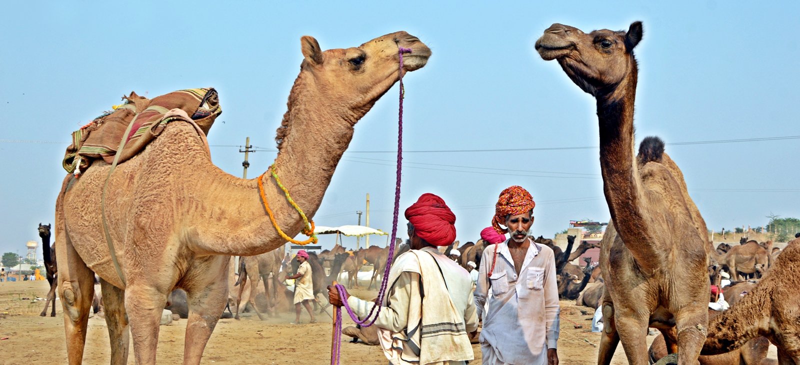 Rajasthan Tours