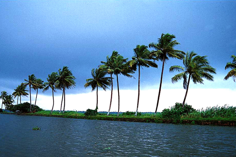 08 Nights 09 Days The Taste of Kerala