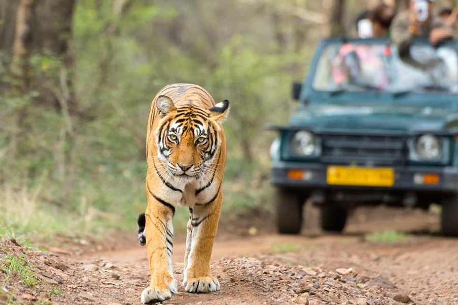 07 Nights 08 Days Golden Triangle Tour with Ranthambore