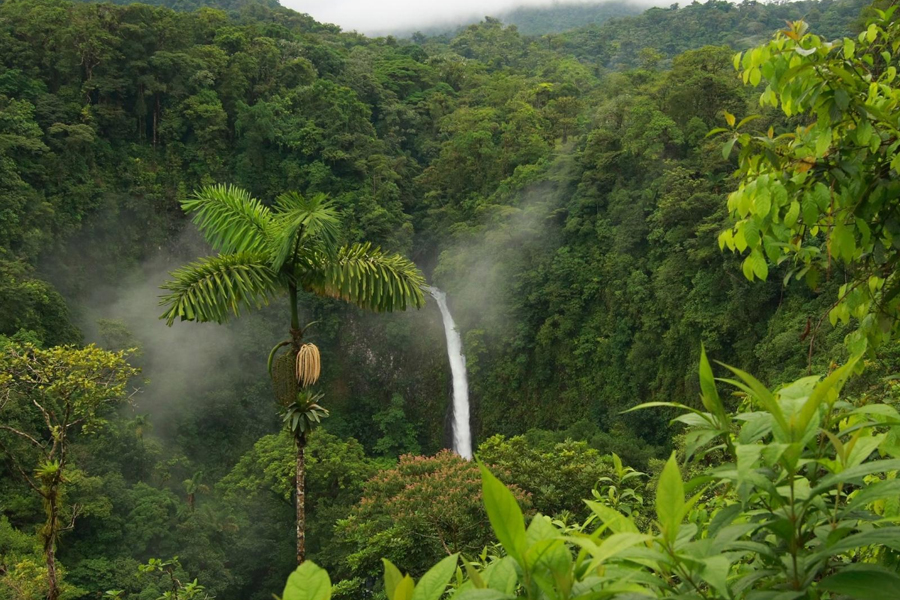 10 Nights 11 Days Kerala Kaleidoscope 
