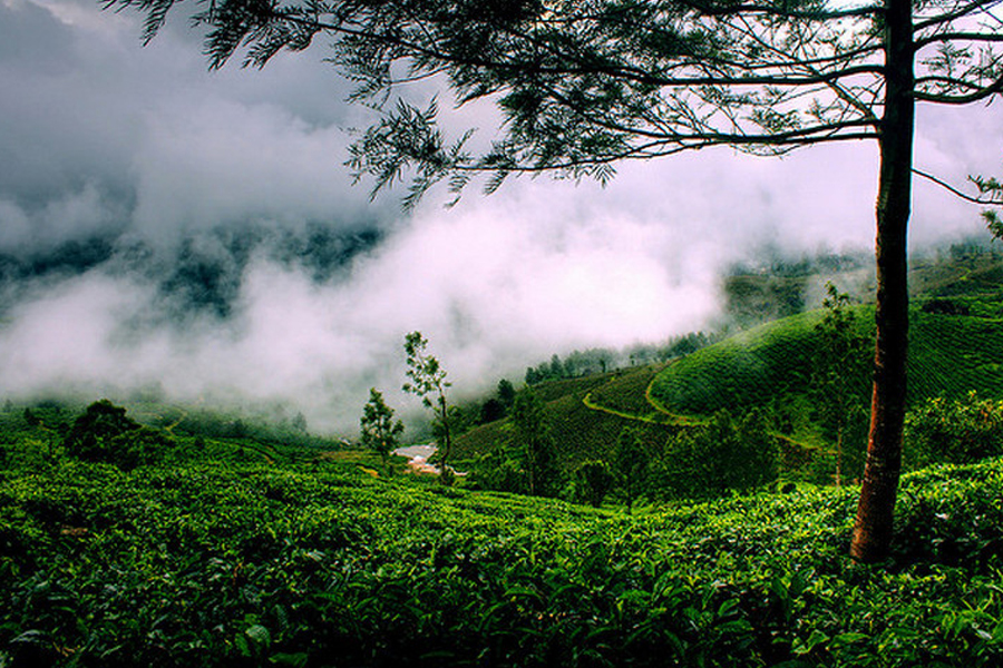 18 Nights 19 Days Kerala With A Difference