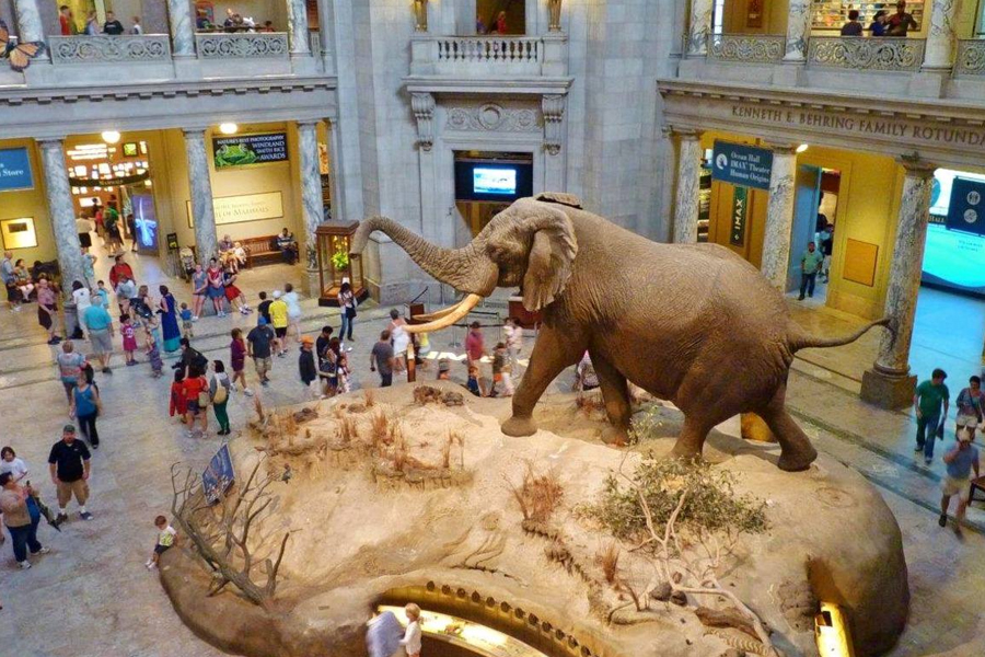13 Nights 14 Days Museum Tour of India