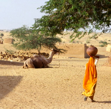 Golden Triangle Tour with Rajasthan village tour