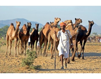 Heritage India Routes